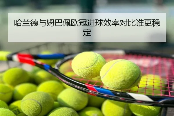 哈兰德与姆巴佩欧冠进球效率对比谁更稳定
